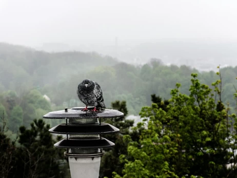 22 серпня – яке сьогодні свято, що не можна робити, все про цей день