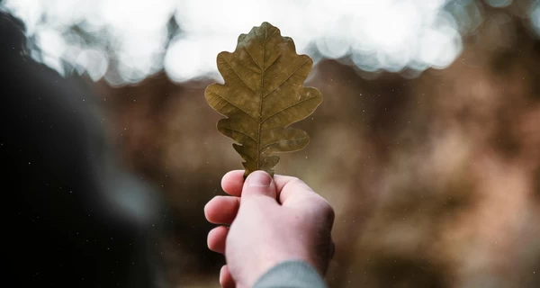 23 августа – какой сегодня праздник, что нельзя делать, все об этом дне