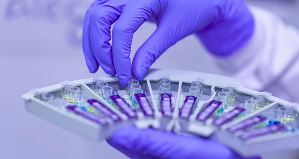 Ученые обнаружили, что 