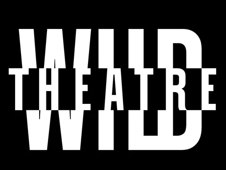 Не только Урывский. Билеты на спектакль по роману Павлюка раскупили за 40 минут