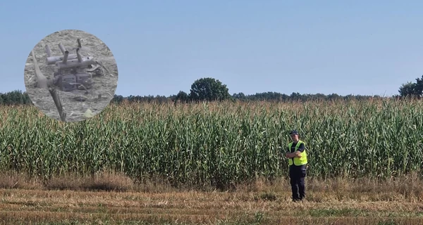 Российский дрон в Польше: почему НАТО закрывает глаза на провокации Кремля в Европе