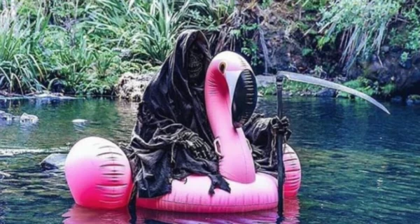Анекдоты и мемы недели: украинские фламинго – скоро на российском Урале
