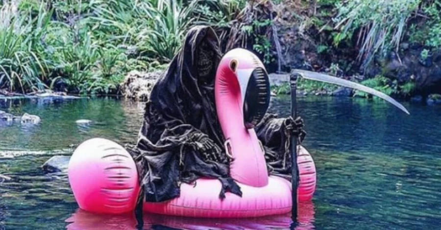 Анекдоти та меми тижня: українські фламінго - скоро на російському Уралі