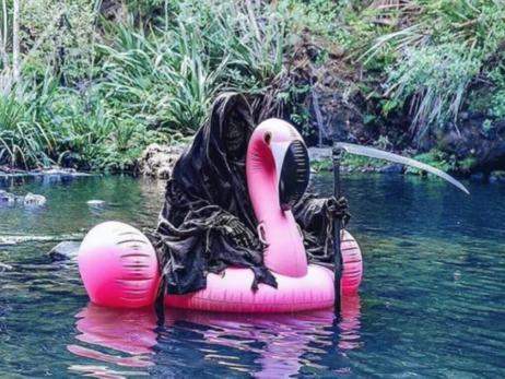 Анекдоты и мемы недели: украинские фламинго – скоро на российском Урале