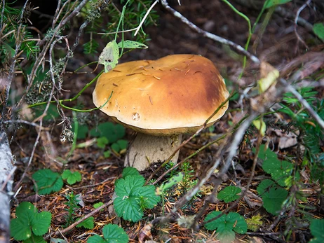 25 серпня – яке сьогодні церковне свято, що не можна робити, все про цей день