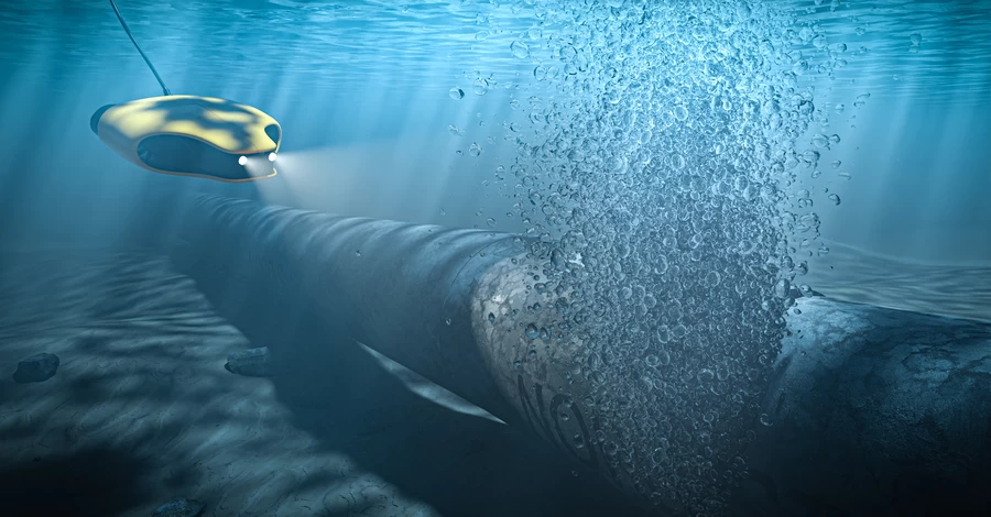 Заарештований в Італії українець був на батьківщині під час підриву 