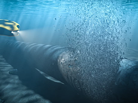 Арестованный в Италии украинец был на родине во время подрыва 