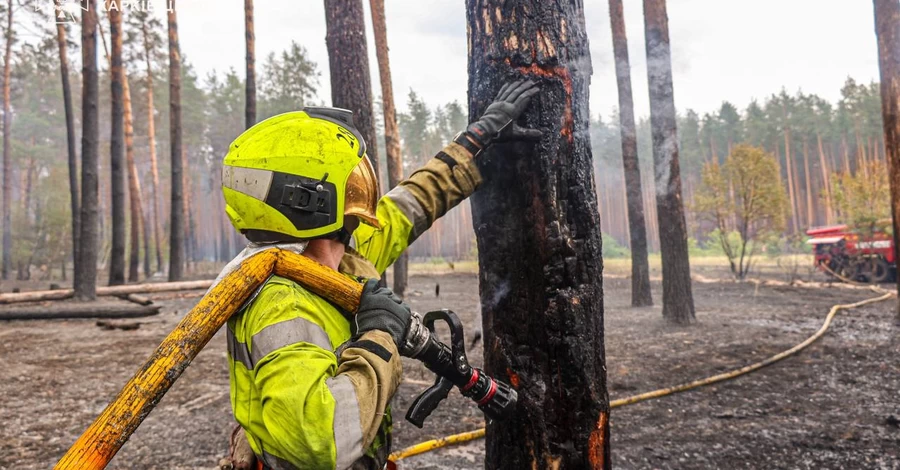  В Харьковской области вторые сутки тушат масштабный пожар - горит более 100 га леса    