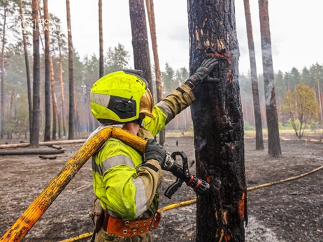  В Харьковской области вторые сутки тушат масштабный пожар - горит более 100 га леса    