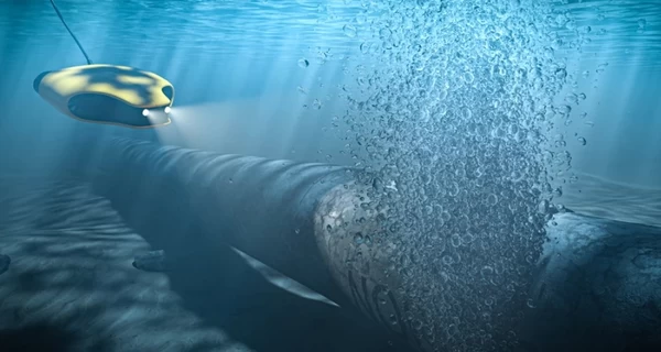 Германия выдала ордер на арест украинцев, подозреваемых в подрыве 