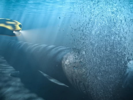 Германия выдала ордер на арест украинцев, подозреваемых в подрыве 