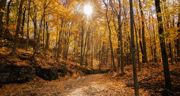 29 августа – какой сегодня церковный праздник, что нельзя делать, все об этом дне