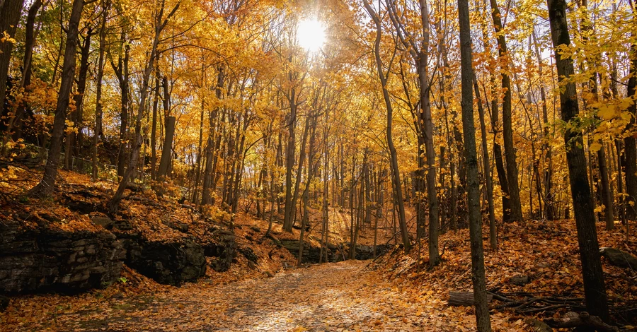 29 августа – какой сегодня церковный праздник, что нельзя делать, все об этом дне