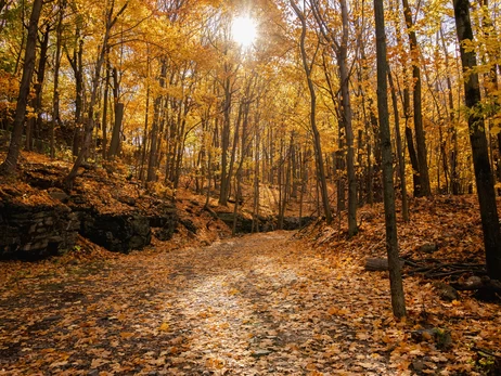 29 серпня – яке сьогодні церковне свято, що не можна робити, все про цей день