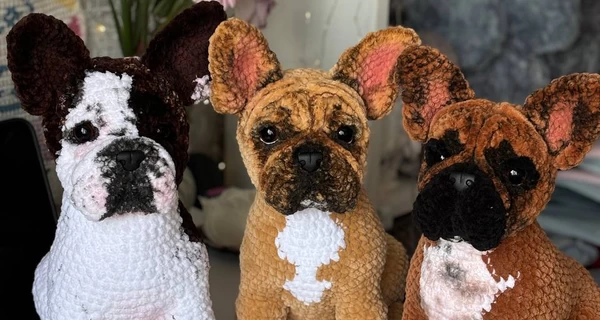 Гачок від тривоги: Даша з Києва в'яже копії домашніх тварин за фотографією