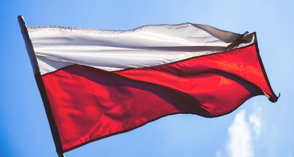 Польша показала новый дрон Kaczka в виде лебедя