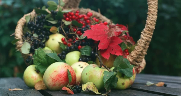 Осінні вітаміни: у вересні збираємо яблука, в жовтні обліпиху, а у листопаді - журавлину