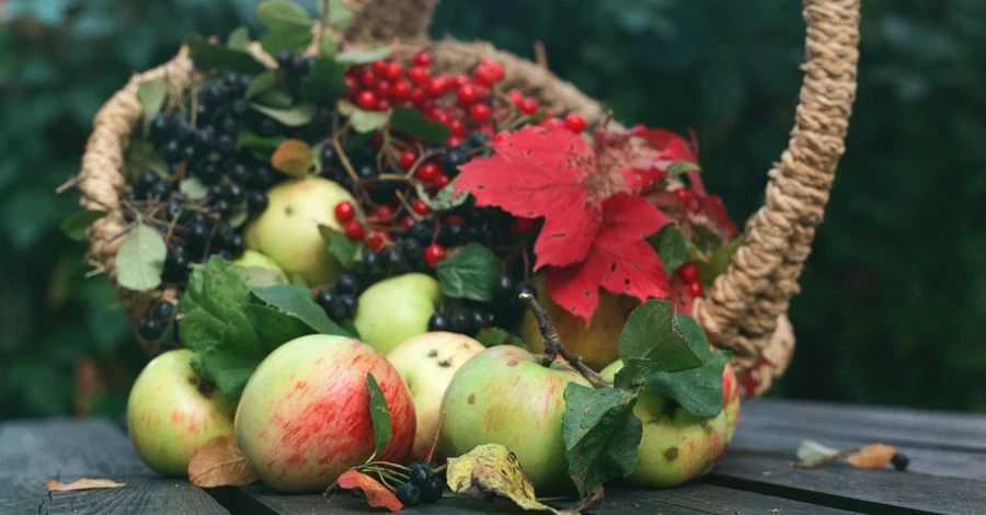 Осенние витамины: в сентябре собираем яблоки, в октябре облепиху, а в ноябре - клюкву