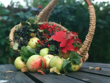 Осенние витамины: в сентябре собираем яблоки, в октябре облепиху, а в ноябре - клюкву
