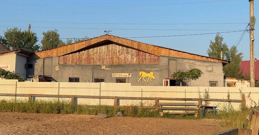 Росіяни під час атаки на Київщині зруйнували стайню, семеро коней загинули