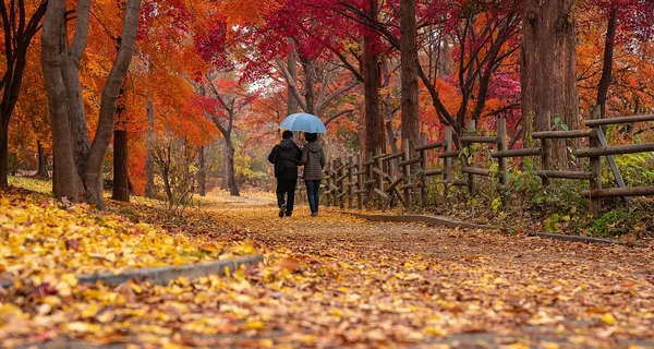 Погода в Україні 9 вересня: буде ще досить тепло, але місцями - дощитиме