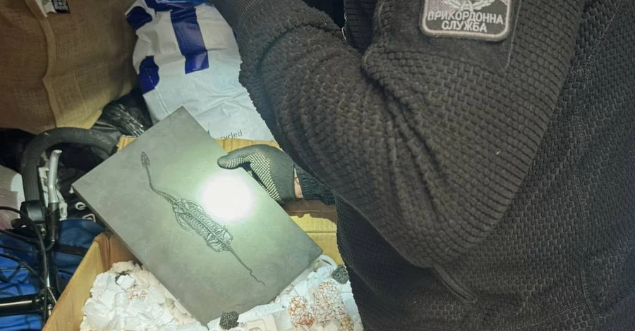 Во Львове пограничники обнаружили скелет морской рептилии, которому 200 млн лет