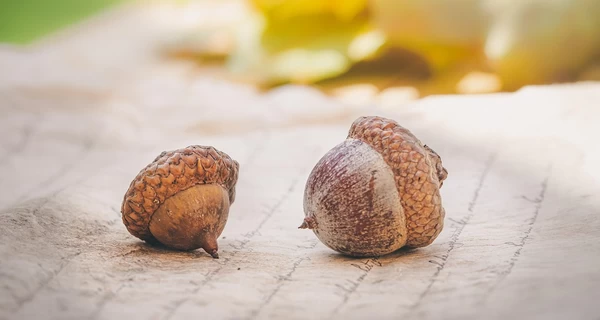 11 сентября - годовщина терактов в США, какой сегодня церковный праздник, что нельзя делать, все об этом дне