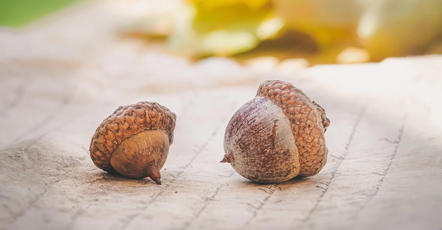 11 сентября - годовщина терактов в США, какой сегодня церковный праздник, что нельзя делать, все об этом дне