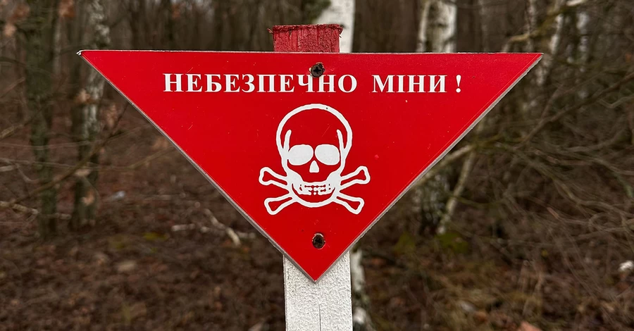 Росіяни знову почали розкидати по Херсону міни-«пелюстки»: вони можуть бути різного кольору