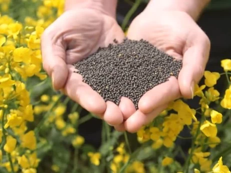 Заплатят все. Новая 10%-ная пошлина полностью заблокировала экспорт сои и рапса 