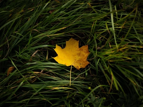 12 сентября - какой праздник что сегодня нельзя делать, все об этом дне