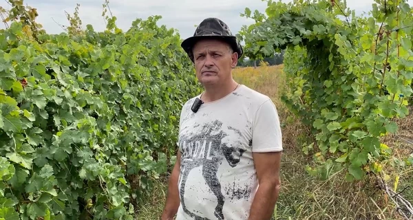 Виноград на берегу Десны: как переселенец из Донбасса начал новую жизнь и сделал вино мечты