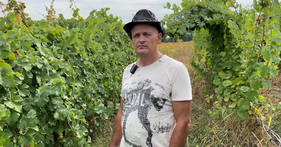 Виноград на берегу Десны: как переселенец из Донбасса начал новую жизнь и сделал вино мечты