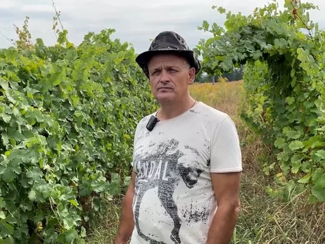 Виноград на берегу Десны: как переселенец из Донбасса начал новую жизнь и сделал вино мечты