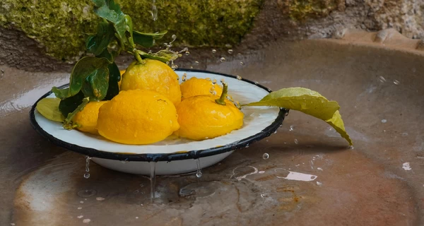 Користь лимонів: чи дійсно в них так багато вітаміну С і скільки їх можна їсти