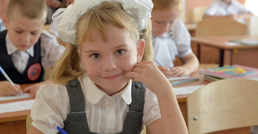 МОН заставляют возвращать детям-эмигрантам право на украинское образование: почему это делают аудиторы и депутаты, а не само министерство