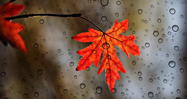 Днем – тепло, ночью – свежее: прогноз погоды на выходные