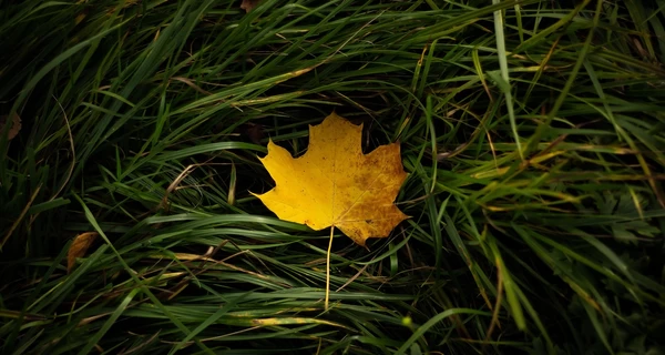 13 сентября - какой праздник, что сегодня нельзя делать, все об этом дне