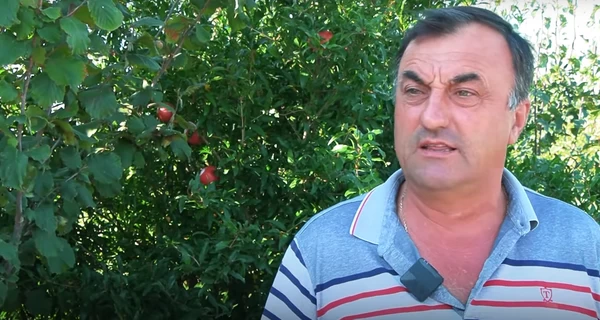 Фермер в Одесской области вырастил гранатовый сад на заброшенном пустыре: плоды дарит всем желающим