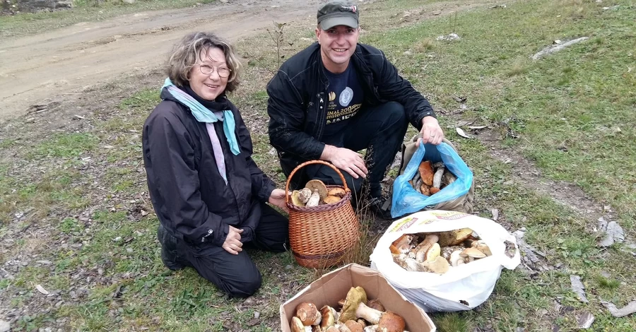 Грибники Прикарпатья: Белых хоть пока и мало, но они крупные и практически идеальные