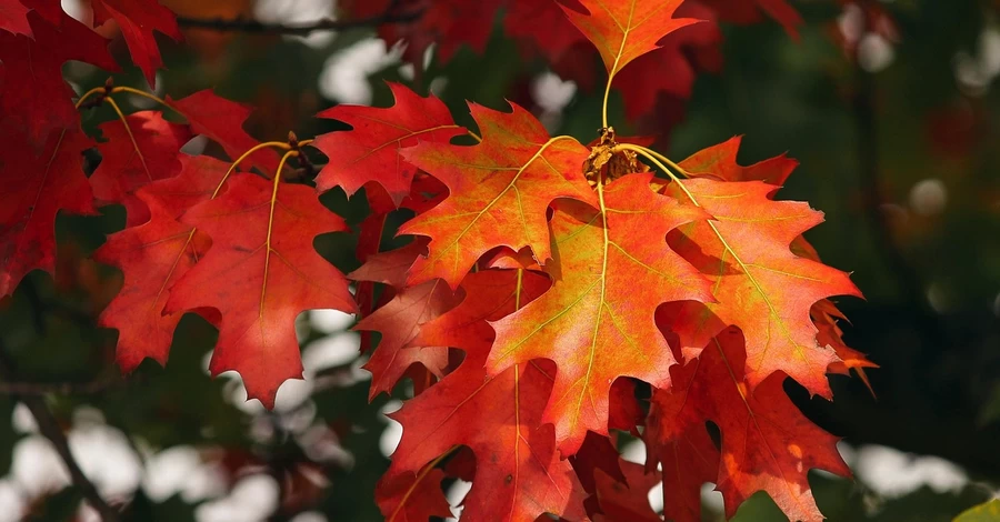 18 сентября - какой сегодня праздник, что нельзя делать, все об этом дне