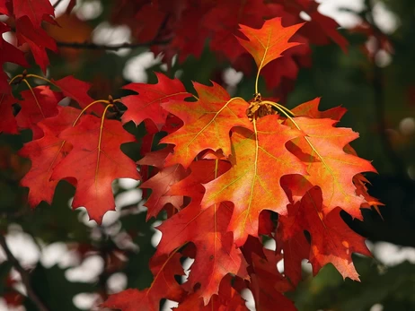 18 сентября - какой сегодня праздник, что нельзя делать, все об этом дне