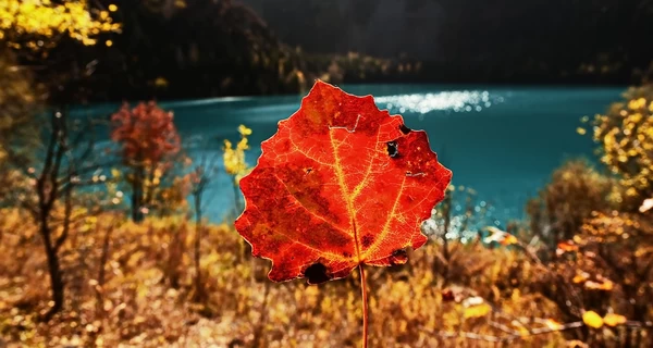 Со среды в Украине прогнозируют серьезное похолодание