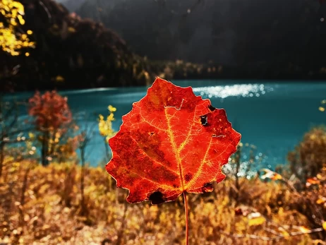 Від середи в Україні прогнозують серйозне похолодання
