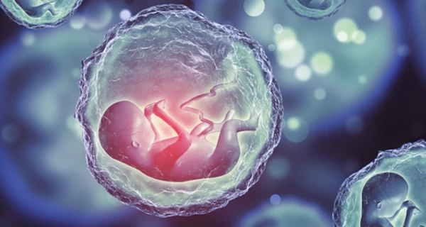 Опасный прецедент: как бабушка и дедушка отсудили эмбрионы у невестки