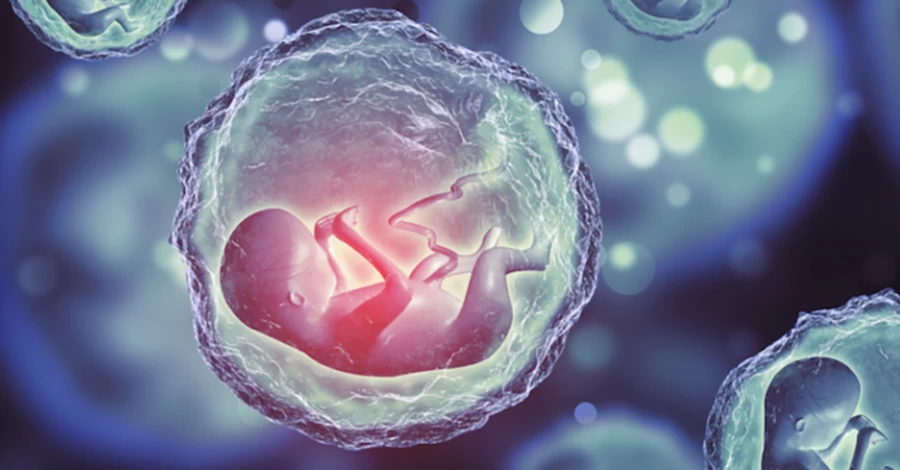 Небезпечний прецедент: як бабуся і дідусь відсудили ембріони у невістки