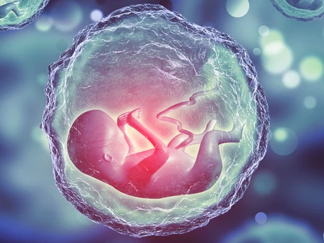 Опасный прецедент: как бабушка и дедушка отсудили эмбрионы у невестки