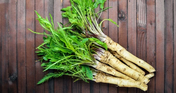 Корінь, який покращує травлення і відганяє відьом: хрін як приправа, ліки та оберіг