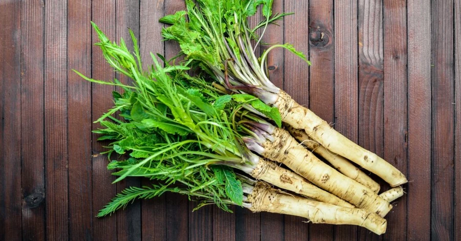 Корінь, який покращує травлення і відганяє відьом: хрін як приправа, ліки та оберіг
