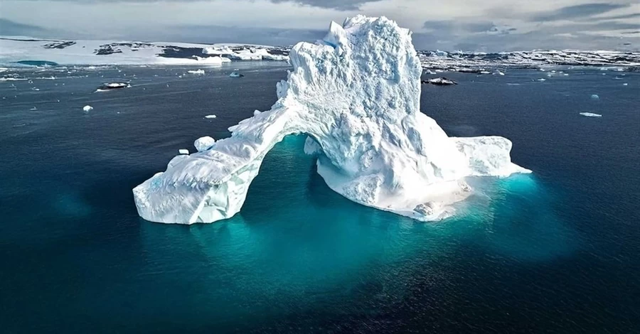 Директор НАНЦ Евгений Дикий: Столько донатов, как от 